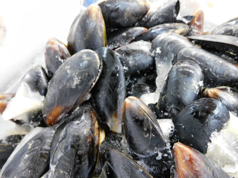 Cozze surgelate di Freddidea